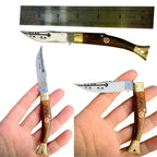 Stylish Brwn Fish 2P